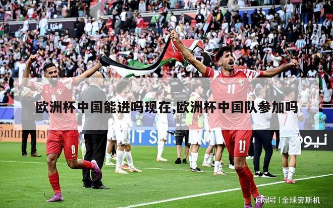 欧洲杯中国能进吗现在,欧洲杯中国队参加吗